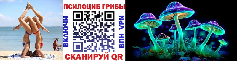 Купить  Вязники  Псилоцибиновые грибы прущие грибы 