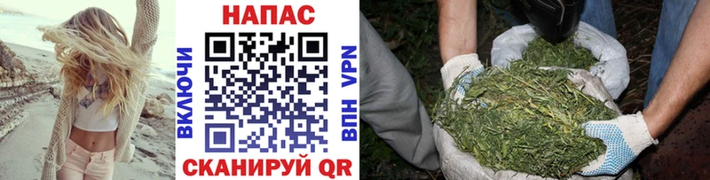 Купить где Вязники Шишки марихуана SATIVA & INDICA